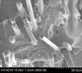 POE-g-MAH對(duì)玻纖增強(qiáng)高溫尼龍的增韌機(jī)理