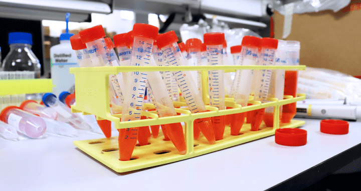 一種細(xì)菌的發(fā)現(xiàn),使改性尼龍的可持續(xù)生產(chǎn)成為可能